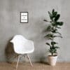 A white chair and plant in front of a wall.