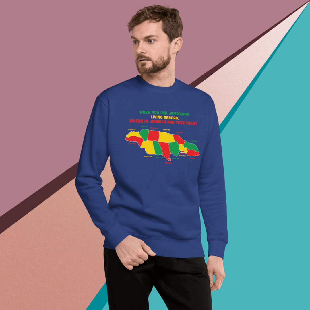 Man wearing a blue sweatshirt with a colorful geometric dinosaur design.